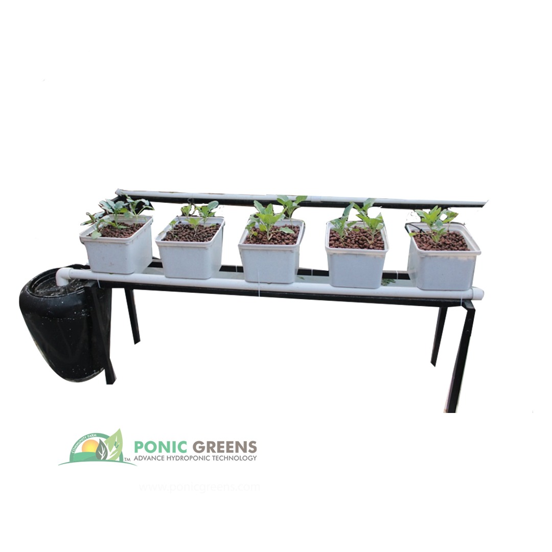Dutch Bucket Hydroponic systems in Delhi, NCR, Gurgaon, Jaipur